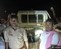 गोर्गी गाँव में निकला दस फीट का मगरमच्छ, वन विभाग ने किया रेस्क्यू।