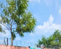 कुशीनगर : शिवा घाट पर चला स्वच्छता अभियान, पौधरोपण कर दिया स्वच्छता का संदेश