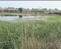 ग्राम पंचायत छरदही  में मनरेगा के अंतर्गत तालाब खुदाई एवं सफाई कार्य में संभावित अनियमितता 