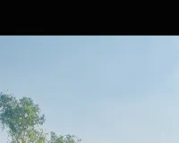 किन्नरो की जजमानी को लेकर चल रहा विवाद ने पकड़ा तूल पहुंचा कोतवाली