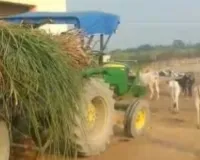 कल तक जहां पर्याप्त भूसा-दाना नहीं था, आज पहुंचा हरा गन्ना,रमना तौफीक गौ संरक्षण केंद्र की बदली तस्वीर, लेकिन बदहाली बरकरार