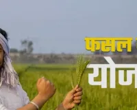 फसल क्षति की शिकायत 72 घंटे में दर्ज कराएं किसान