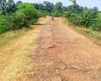 वर्षों से जर्जर चीरुडीह-रसिया टोला सड़क की सुध नहीं, ग्रामीणों में आक्रोश