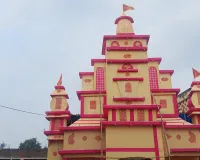 कास के खिले फूल दे रहे मां के आगमन का संदेश, दुर्गा पूजा को लेकर पाकुड़िया में उमंग