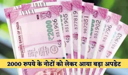 2000 Rupee Note: 2000 रुपये के नोटों को लेकर आया बड़ा अपडेट, RBI ने दी ये जानकारी 