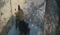 बलरामपुर में दिनदहाड़े बुलेट चोरी:दुकान के सामने से बाइक उड़ाई