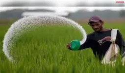 क्या महंगी होगी खाद? यूरिया की किल्लत की खबरों के बीच मोदी सरकार ने जारी किया बयान