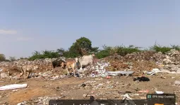 झांसी छावनी क्षेत्र में खुले में कचरा डंपिंग का मामला, MRF सेंटर को लेकर नगर निगम–छावनी परिषद आमने-सामने