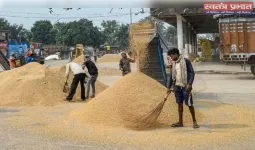 लक्ष्य से आगे निकली यूपी सरकार, 62.30 लाख मीट्रिक टन धान खरीदकर किसानों को दिए ₹14,886 करोड़