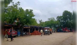 पडा़व की सरकारी जमीन पर किया गया है अवैध कब्जा।
