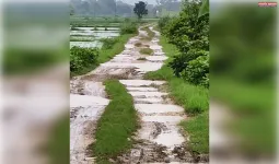 धसड़ा राजा (विकास खंड लालगंज) में बदहाल सड़क और जलभराव से ग्रामीण परेशान