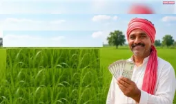 दीपावली से पहले किसानों को सम्मान निधि की 24वीं किस्त, 9.34 करोड़ खातों में पहुंचे 18,690 करोड़ रुपये