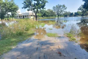 लोहटी जई का लाखो रुपए से बना बाढ़ राहत केंद्र का परिसर अपनी बदहाली पर बहा रहा आंसू