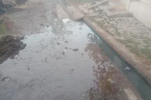 नगर पंचायत के धधवारा मोहल्ले की सफाई व्यवस्था ध्वस्त 