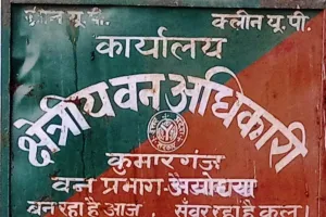 प्रतिबंधित प्रजाति के हरे भरे पेड़ों पर लकड़ी ठेकेदार चला रहे आरा