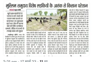 मुस्लिम लड़कियों द्वारा नष्ट कराई जा रही जबरन हिंदूओं की फसलें