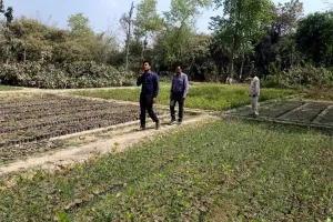 एसडीओ ने पौधशाला का किया निरीक्षण, आस्था से जुड़े पौधों को भी तैयार कर रहा वन विभाग