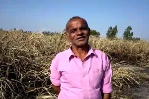 अज्ञात कारणों से लगी किसान के खेतों में आग किसान हुआ बर्बाद