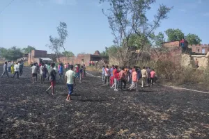 अज्ञात कारणों से लगी आग लगभग 75 बीघा गेहूं जलकर राख