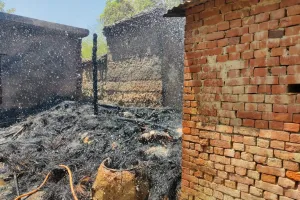 अज्ञात कारण से लगी आग पांच घरों की गृहस्थी खाक, बकरियों की मौत 