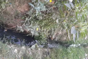 मुख्यमंत्री के स्वच्छ भारत अभियान की उड़ाई जा रही धज्जियां