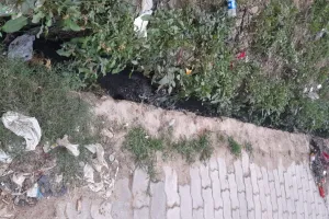 एक तरफ कोरोना और डेंगू का कहर दूसरी तरफ सफाई व्यवस्था ध्वस्त