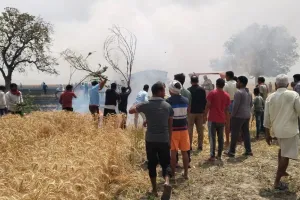  आग से बारीगांव में 10 एकड़ फसल जलकर राख