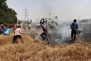 शार्ट,सर्किट से लगी आग से आधा दर्जन किसानो की फसल जल कर  हुई राख