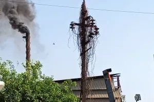 प्रदूषण विभाग के नाक के नीचे चमड़ा व्यापारी फ़िज़ा मे घोल रहे हैं ज़हर प्रदूषण विभाग बना मूक बाधिर