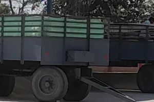 सरकारी गेहूं खरीद में पलीता लगा रहे बिचौलिया, अधिकारी व कर्मचारियों का संरक्षण