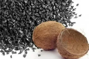 नारियल के खोल को सक्रियित कार्बन में बदलने की नई विधि