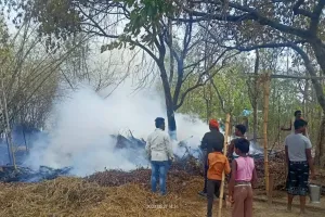 अचानक लगी आग, दर्जनों पेड़, भूसा व उपड़ौर जलकर राख