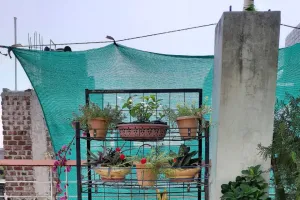 खंडवा के रहने वाले पति-पत्नी ने मिलकर बनाया घर की छत मिनी गार्डन, नाम रखा मन बगिया।