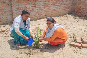 स्वास्थ्य केंद्र मीरापुर में हुआ वृक्षारोपण