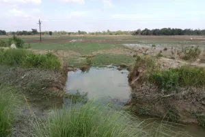 रायबरेली नहर कटने से कई बीघे फसल जलमग्न