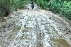 पहली बरसात में लबालब हुआ पलिया-छपरा बांध, आवागमन बाधित 