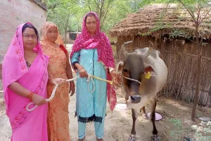 सहभागिता योजना के अन्तर्गत अब तक अतिकुपोषित बच्चों के अभिभावकों को 2633 गोवंश की कराई गई सुपुर्दगी