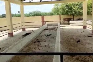 उन्नाव जिले की गौशालाओं की दुर्दशा