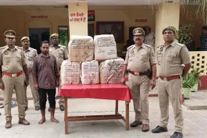 10 लाख रुपये के अनुमानित कीमत के गांजे के साथ शातिर गांजा तस्कर गिरफ्तार