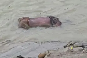 बिहार : नहर में डूबे दो भाइयों में एक का शव बरामद, दूसरे भाई के शव की तलाश जारी