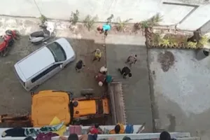  दबंगों ने अधिवक्ता की जमीन पर असलहे के दम पर कब्जे का किया प्रयास, ।