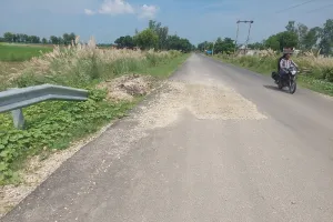 42.20 करोड़ की लागत से बनी सड़क एक बरसात नहीं झेल पाई सड़क लगी टूटने पैचिगं शुरू