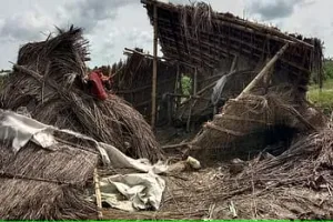 पीलीभीत: जंगल से सटे इलाकों में हाथियों का आतंक