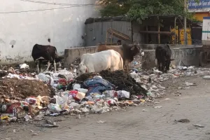 स्मार्ट सिटी में विकास के नाम पर मिल रहा गंदगी और कीचड़: गौतम