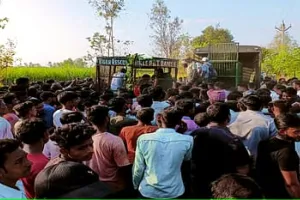 पीलीभीत बाघ को बेहोश समझ उठाने गए वनकर्मी, होश में देख जान बचाकर भागे