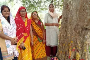 आंवला नवमी पर परिवार की सुख समृद्धि के लिए आंवला  वृक्ष का पूजन-अर्चन 