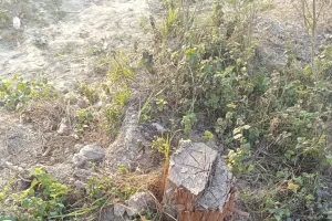 सिल्ट सफाई व्यवस्था चढ़ी भ्रष्टाचार की भेंट, कैसे होगी रवी की सिंचाई, क्षेत्र पंचायत सदस्य ने की शिकायत