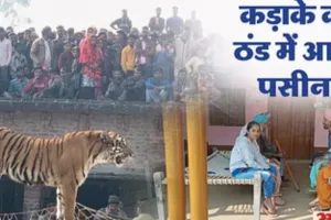 चार घंटे दहशत में रहे दो परिवार... थमी रहीं सांसें, सुखविंदर बोले- हम पर जो बीती बता नहीं सकते