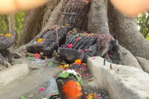 डीएम साहिबा पांडव कालीन धार्मिक स्थल तथा चकमार्ग पर विशेष समुदाय के लोगों द्वारा अवैध कब्जा की शिकायत नहीं हो रही कार्यवाही 