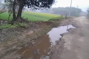 ग्राम सभा सलेथू जाने वाली लगभग ढाई किलोमीटर सड़क अपनी बदहाली पर बहा रही आंसू 